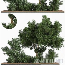 3d-модель Садовые кусты и деревья