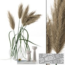 3d-модель Пампасная трава в стеклянной вазе и декор