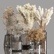 3d-модель Засушенные растения в вазах, пять вариантов