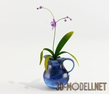 Орхидея фаленопсис в синем кувшине