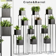 3d-модель Горшки Crate&Barrel Tidore с растениями