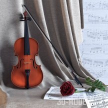 3d-модель Композиция со скрипкой, смычком и розой