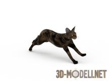 3d-модель Бегущая кошка