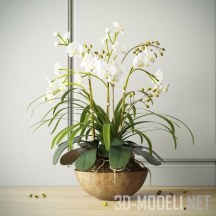Цветочная композиция с орхидеями