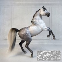 3d-модель Андалузская лошадь (Andalusian Stallion)
