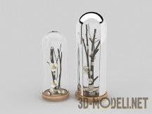3d-модель Орхидеи в стеклянной колбе