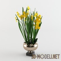 Желтые цветы в низкой вазе