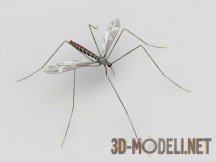 3d-модель Комар