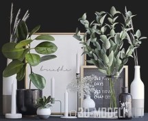 Свечи, вазы и растения