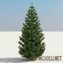 3d-модель Реалистичная елка