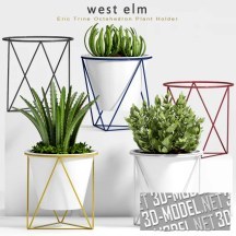 Цветочные горшки West Elm с растениями на подставках Eric