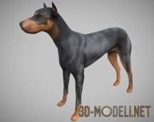 3d-модель Собака Low-Poly со скелетом