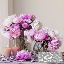 3d-модель Два букета розовых пионов в стеклянных вазах