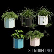 3d-модель Растения в горшках Uyova Colour Block от La Redoute Interieurs