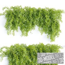 3d-модель Коллекция ампельных растений для сада