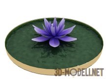 3d-модель Цветок лотоса