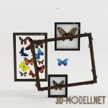 3d-модель Рамки с бабочками
