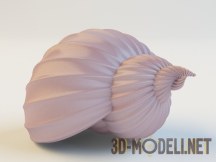 3d-модель Decorative shell