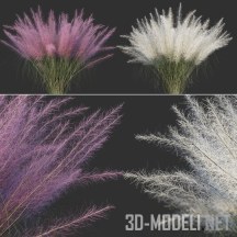 3d-модель Мюленбергия волосовидная куст