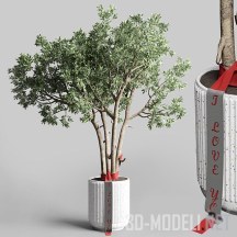3d-модель Дерево в горшке с подарочной лентой