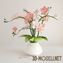 3d-модель Белые с розовым цветы в вазе