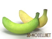 3d-модель Реалистичные бананы