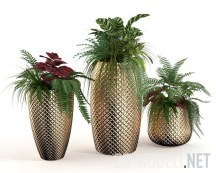 3d-модель Декоративные растения в рифленых горшках