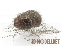 3d-модель Камень для декорации сада