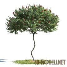 3d-модель Декоративное дерево