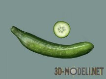 3d-модель Свежий огурец