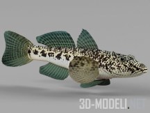 3d-модель Речная рыба