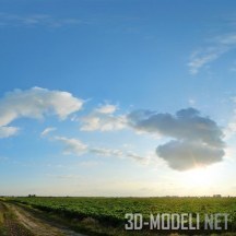 Закат в поле (панорама)