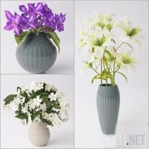 Клематис, жасмин и лилии в вазах