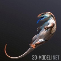 3d-модель Ящерица Blue Tongued Skink