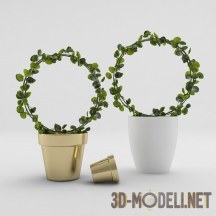 Free 3d model decorative plants