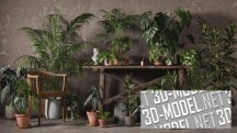 [3Д Модели] 3DCollective - Interior Plants Pack 01
