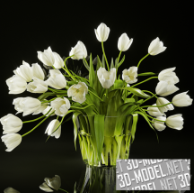 3d-модель Большой букет белых тюльпанов в стеклянной вазе