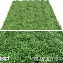 3d-модель Зеленая лужайка