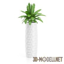 3d-модель Декоративная зелень в высокой вазе