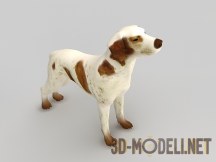 3d-модель Собака Braco
