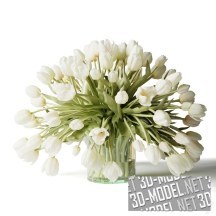 3d-модель Белые тюльпаны в вазе, большой букет