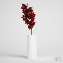 Темно–красные цветы в белой вазе