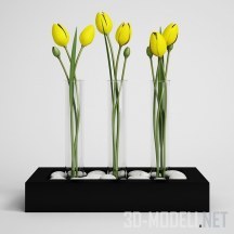 Желтые тюльпаны в современном лотке