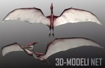3d-ассет: Pteranodon