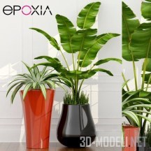 Растения в горшках от Epoxia