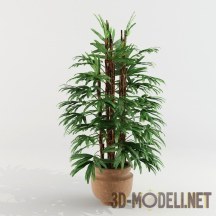 3d-модель Стволы бамбука