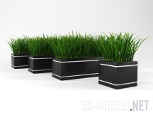 Газонная трава в прямоугольных лотках