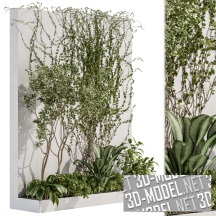 Стена с растениями