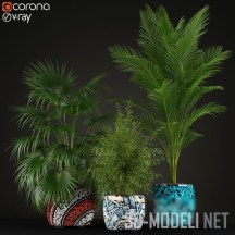 3d-модель Коллекция растений с бамбуком