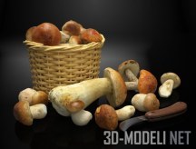 3d-модель Натюрморт с грибами и корзиной